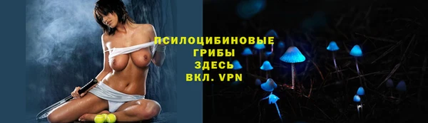 дмт Балахна
