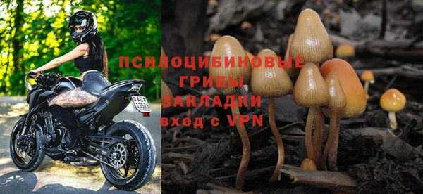 spice Баксан