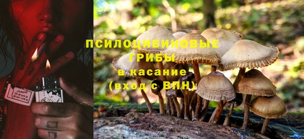 spice Баксан