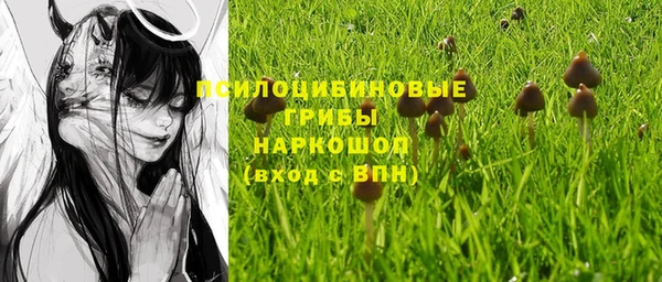 дмт Балахна