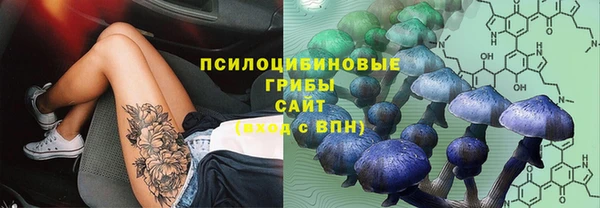 spice Баксан