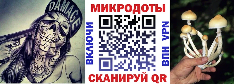 даркнет сайт  Видное  Псилоцибиновые грибы мухоморы 